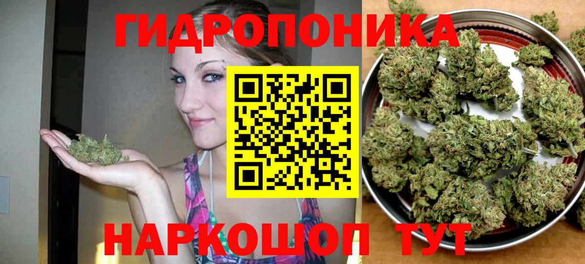 Вичуга  Бошки марихуана OG Kush  Шишки марихуана Bruce Banner  Вход с VPN  Каннабис THC 21% 